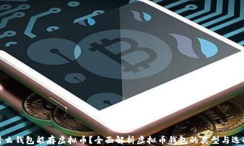
什么钱包能存虚拟币？全面解析虚拟币钱包的类型与选择