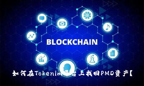 如何在Tokenim平台上找回PMD资产？