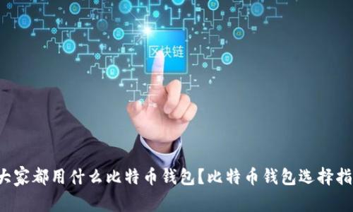  大家都用什么比特币钱包？比特币钱包选择指南