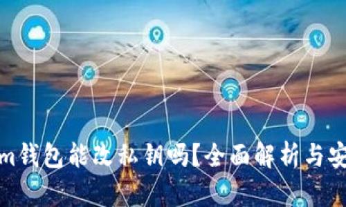 Tokenim钱包能改私钥吗？全面解析与安全建议