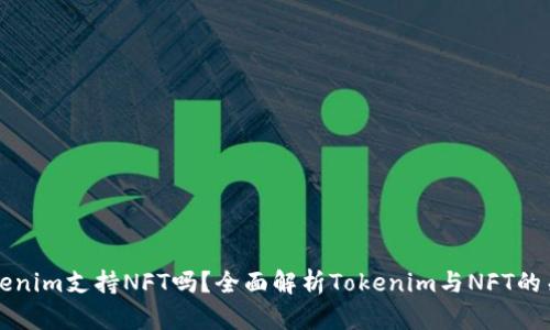 Tokenim支持NFT吗？全面解析Tokenim与NFT的关系
