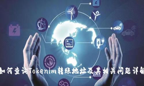 如何查询Tokenim转账地址及其相关问题详解