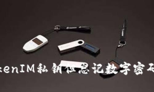 如何找回TokenIM私钥但忘记数字密码的解决方案