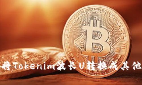 如何将Tokenim波长U转换成其他单位