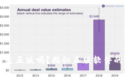 : Tokenim下载的是正版吗？揭秘正版软件的重要性与辨别技巧