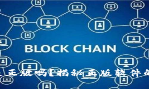 : Tokenim下载的是正版吗？揭秘正版软件的重要性与辨别技巧