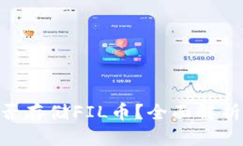 Tokenim能否存储FIL币？全面解析与使用指南