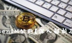 什么是TokenIM公匙？深入解