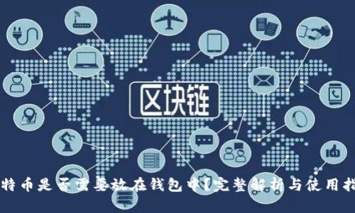 比特币是否需要放在钱包中？完整解析与使用指南