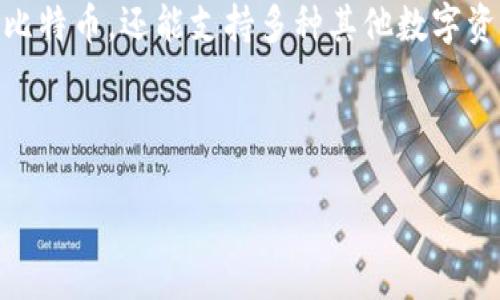 比特币钱包: 比特币钱包是一个重要的工具，它用于存储、发送和接收比特币。通过比特币钱包，用户可以管理自己的数字资产，同时进行交易和投资。随着比特币和其他数字货币的普及，用户对比特币钱包的需求和使用量不断增加。

比特币的存储尺寸: 比特币钱包本身通常不占用很大的存储空间，因为它们并不存储比特币的实际数据。这些钱包通常只是存储私钥和公钥，用户的比特币通过区块链网络进行管理，因此钱包的大小主要取决于所使用的软件或应用程序。

主要类型: 比特币钱包有多种类型，包括热钱包（在线钱包）和冷钱包（离线钱包）。热钱包通常占用较小的磁盘空间，而冷钱包可能需要更多的存储空间用于安全存储。

随着用户需求的变化以及技术的进步，钱包的功能和技术也在不断演变。例如，某些钱包不仅可以存储比特币，还能支持多种其他数字资产。

以下是详细介绍有关比特币钱包及其人们关注的相关问题。

如何选择合适的比特币钱包？