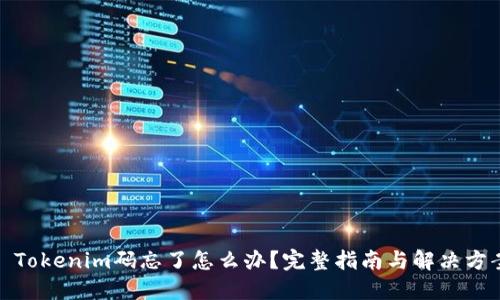 : Tokenim码忘了怎么办？完整指南与解决方案