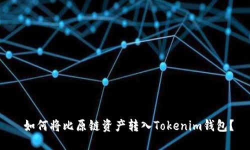  如何将比原链资产转入Tokenim钱包？