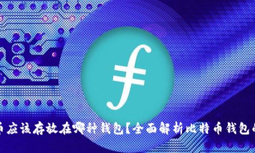 比特币应该存放在哪种钱包？全面解析比特币钱包的选择