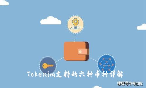  Tokenim支持的六种币种详解