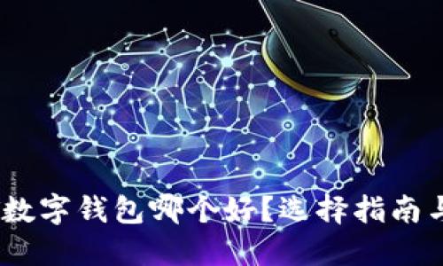 USDT数字钱包哪个好？选择指南与推荐