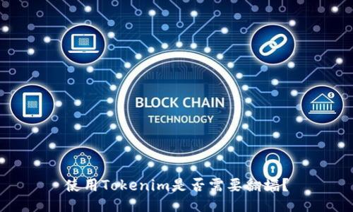 使用Tokenim是否需要翻墙？