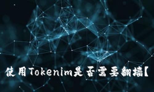 使用Tokenim是否需要翻墙？