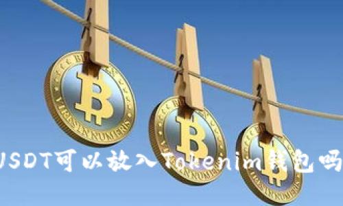 USDT可以放入Tokenim钱包吗？