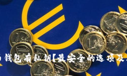哪个比特币钱包有私钥？最安全的选项及其特点分析