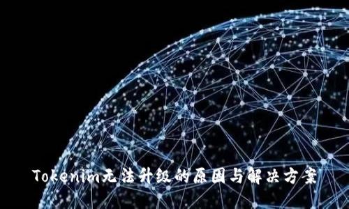 Tokenim无法升级的原因与解决方案