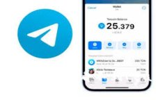 如何解决Tokenim看不到Lea