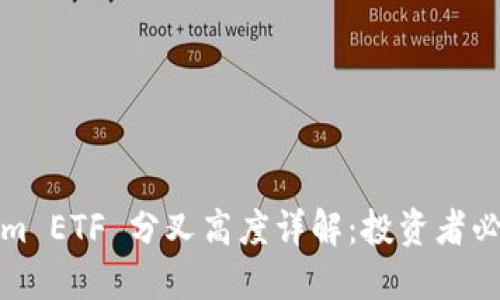 Tokenim ETF 分叉高度详解：投资者必读信息