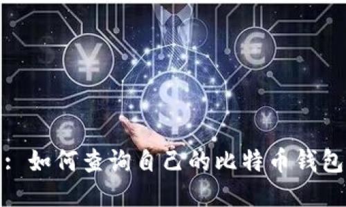 : 如何查询自己的比特币钱包