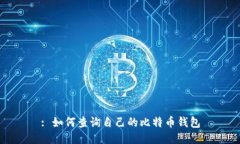 : 如何查询自己的比特币钱