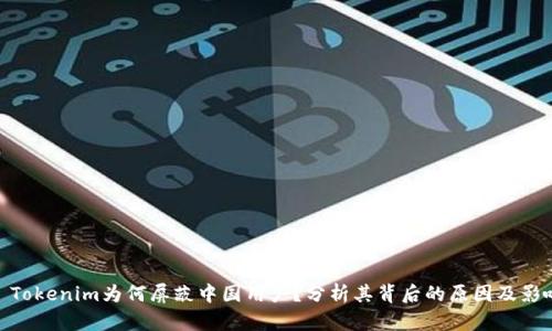 : Tokenim为何屏蔽中国用户？分析其背后的原因及影响