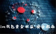 如何防止Tokenim钱包资金被