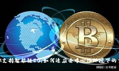 TokenIM支持智能链20，如何适应去中心化环境下的交易需求