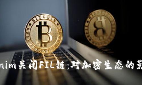 : Tokenim关闭FIL链：对加密生态的影响探析