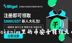 怎样把Tokenim里的币安全转