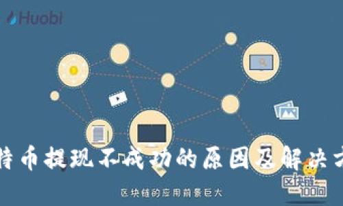 比特币提现不成功的原因及解决方案