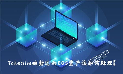 Tokenim映射过的EOS资产该如何处理？