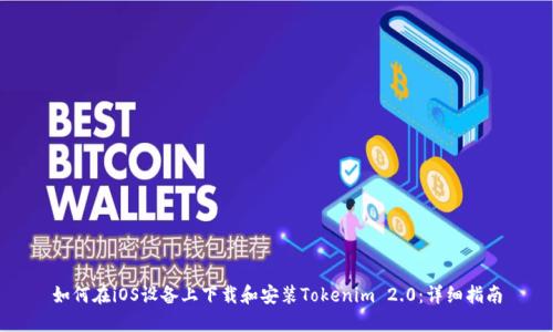 如何在iOS设备上下载和安装Tokenim 2.0：详细指南