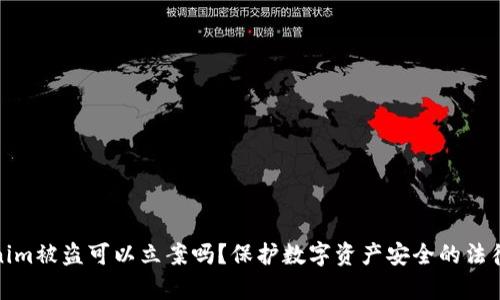 Tokenim被盗可以立案吗？保护数字资产安全的法律探讨