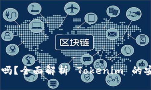 Tokenim 有私钥吗？全面解析 Tokenim 的安全性与私钥管理