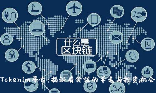 Tokenim平台：揭秘有价值的羊毛与投资机会