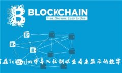 如何在Tokenim中导入私钥以
