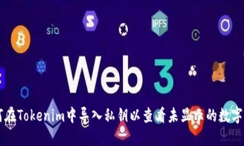 如何在Tokenim中导入私钥以查看未显示的数字货币