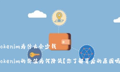 Tokenim为什么会少钱

Tokenim的价值为何降低？你了解背后的原因吗？