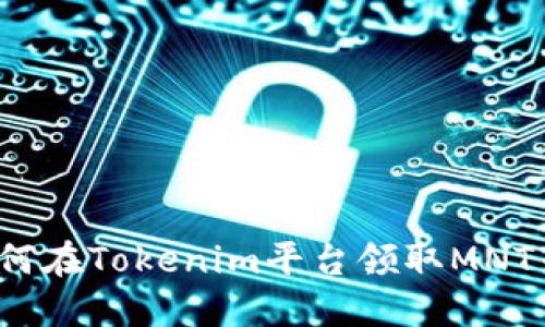 如何在Tokenim平台领取MNT币？