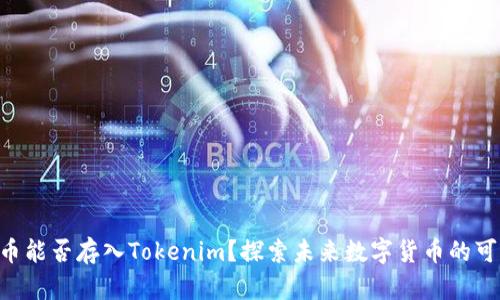 PAY币能否存入Tokenim？探索未来数字货币的可能性