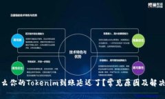 为什么你的Tokenim到账延迟