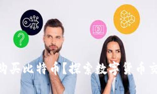 Tokenim能否购买比特币？探索数字货币交易的无限可能