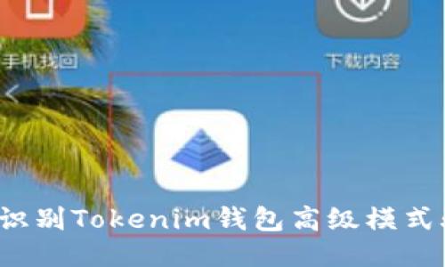 如何识别Tokenim钱包高级模式骗局？