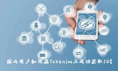 国内用户如何在Tokenim上成
