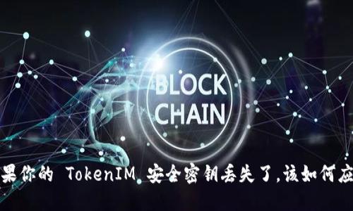  如果你的 TokenIM 安全密钥丢失了，该如何应对？