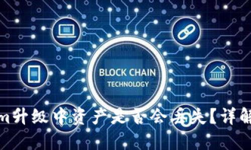 Tokenim升级中资产是否会丢失？详解与攻略